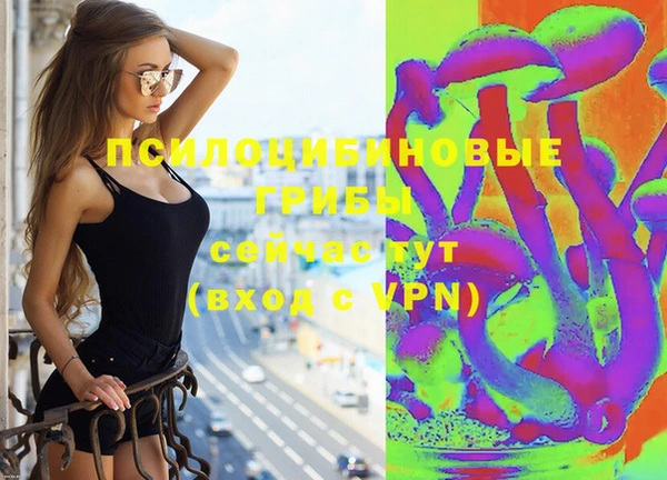 МДПВ Вязьма