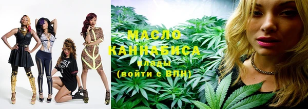 прущая мука Вяземский