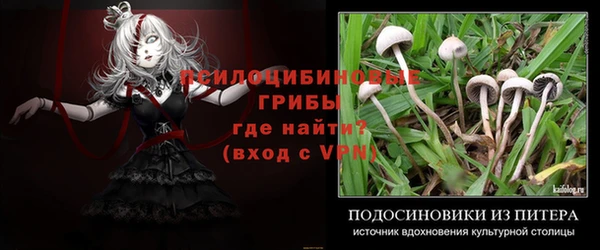 твердый Вязники