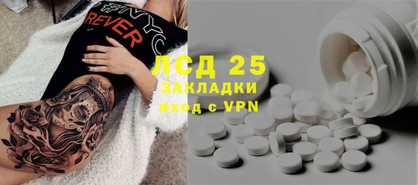 прущая мука Вяземский