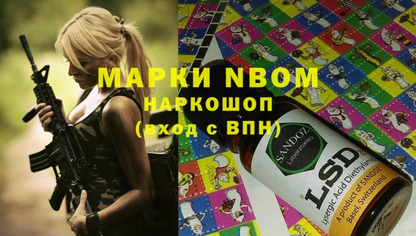 прущая мука Вяземский
