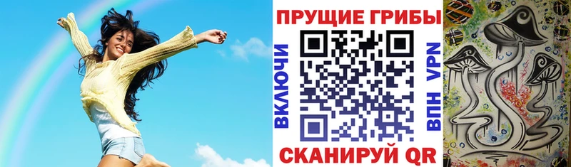 блэк спрут ссылки  Кисловодск  нарко площадка клад  Псилоцибиновые грибы GOLDEN TEACHER 